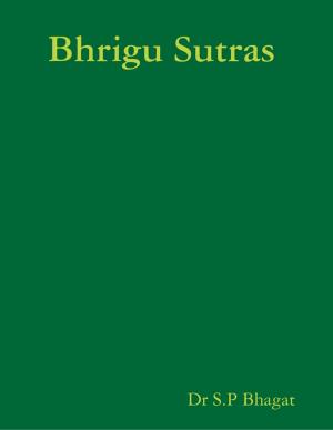 Cover of the book Bhrigu Sutras by Seth Giolle