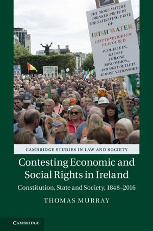 Cover of the book Contesting Economic and Social Rights in Ireland by Anne Margaret Baxley