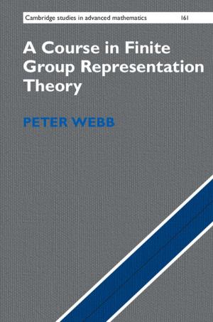 Cover of the book A Course in Finite Group Representation Theory by Biman Bagchi