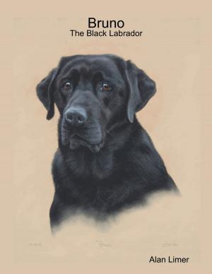 Cover of the book Bruno - The Black Labrador by Erick Ball
