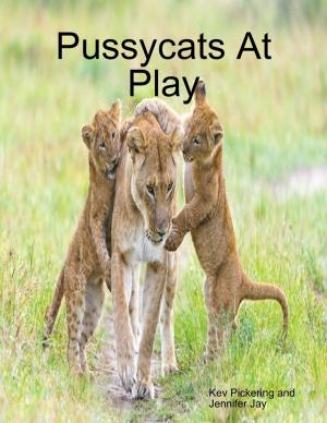 Cover of the book Pussycats At Play by Geoff Needle