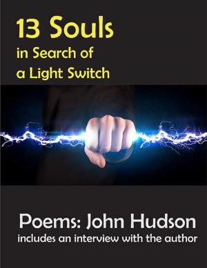Book cover of 13 Souls In Search of a Light Switch