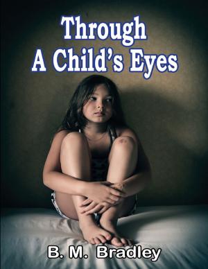 Cover of the book Through a Child's Eyes by Nicki Menage
