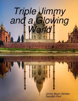 Book cover of Triple Jimmy and a Glowing World