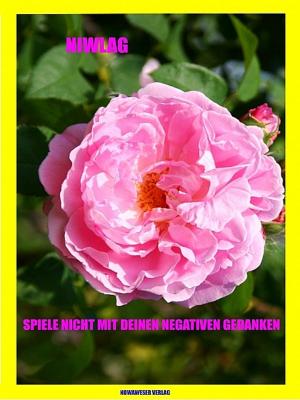 Cover of the book Spiele nicht mit Deinen negativen Gedanken by Niwlag