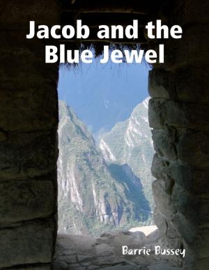 Cover of the book Jacob and the Blue Jewel by Jerry Bellino