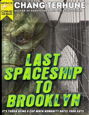 Cover of the book Last Spaceship to Brooklyn by Virinia Downham