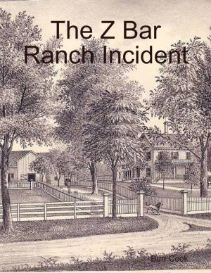 Cover of the book The Z Bar Ranch Incident by Natalie Hush