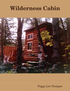 Cover of the book Wilderness Cabin by Jimmy Theroux
