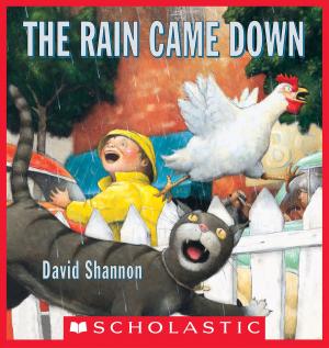 Cover of the book The Rain Came Down by Dan Poblocki