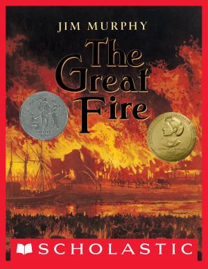 Cover of the book The Great Fire by Norman Bridwell