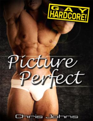Cover of the book Picture Perfect by Anthony Scott Ashworth