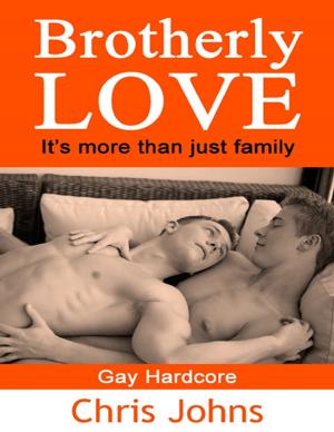 Cover of the book Brotherly Love by James L. Gagni Jr.