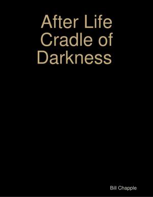 Book cover of After Life 2 Cradle of Darkness
