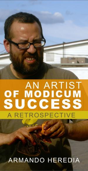 Cover of the book An Artist of Modicum Success by Anne Reynolds