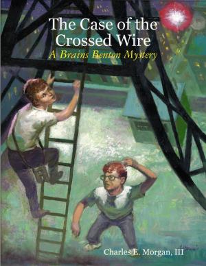 Cover of the book The Case of the Crossed Wire by K J Foxhall