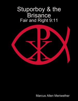 Cover of the book Stuporboy & the Brisance - Fair and Right 9:11 by Sky Aldovino
