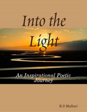 Cover of the book Into the Light by Robert Stetson