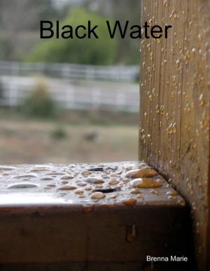 Cover of the book Black Water by Chan Park