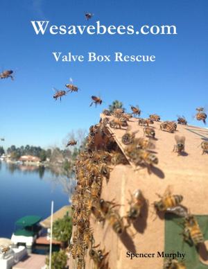 Cover of the book Wesavebees.com: Valve Box Rescue by Tony Kelbrat