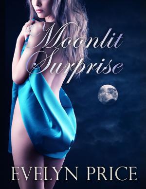 Cover of the book Moonlit Surprise by Marlize Schmidt
