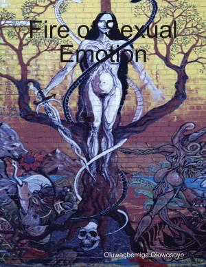 Cover of the book Fire of Sexual Emotion by Andrew McKay
