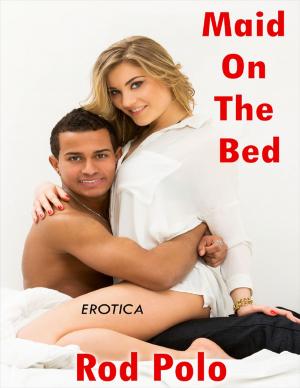 Cover of the book Erotica: Maid On the Bed by Michael Dale