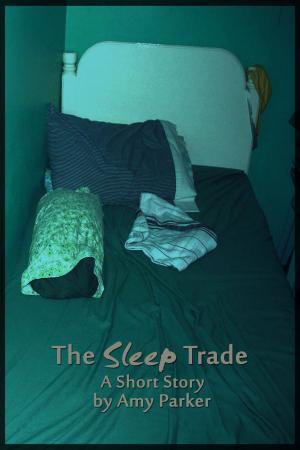 Cover of the book The Sleep Trade by Lindsay Tomlinson