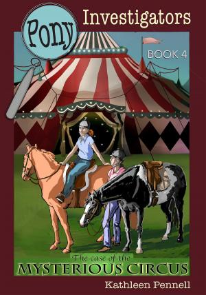 Cover of the book The Case of the Mysterious Circus by Megan Haskell