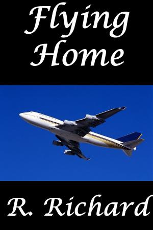 Cover of the book Flying Home by Frank Zenau