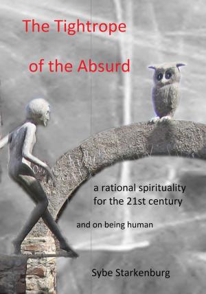 Cover of the book The Tightrope of the Absurd by Danny O'Dell