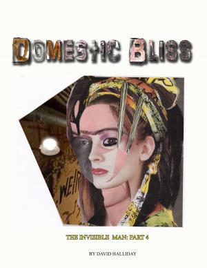 Cover of the book Domestic Bliss by Renae Kaye