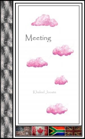 Cover of the book Meeting by Khaleel Jooste