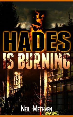 Cover of the book Hades is Burning by Bryan Whelan
