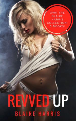 Cover of the book Revved Up (A Five Book Erotic Collection) by Robert Hugh Benson