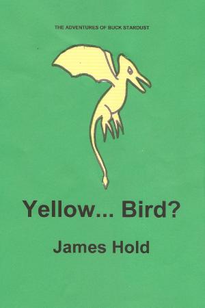 Book cover of Yellow... Bird?