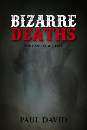 Cover of the book Bizarre Deaths by Jörg Bruchwitz