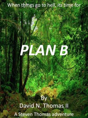 Cover of the book Plan B by Andra Watkins