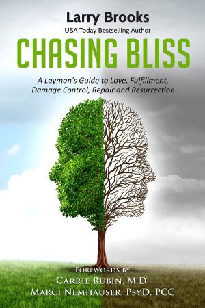 Book cover of Chasing Bliss: A Layman's Guide to Love, Fulfillment, Damage Control, Repair and Resurrection