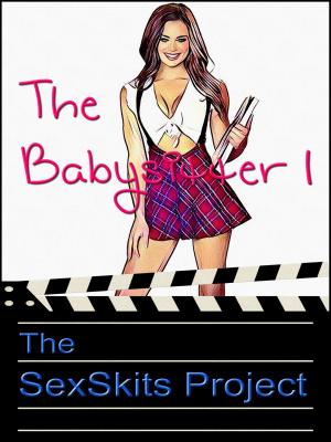bigCover of the book The Babysitter 1 by 