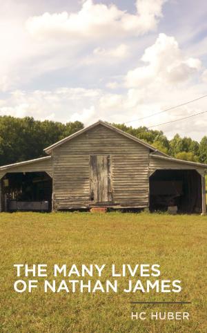 Cover of the book The Many Lives of Nathan James by Mara Townsend