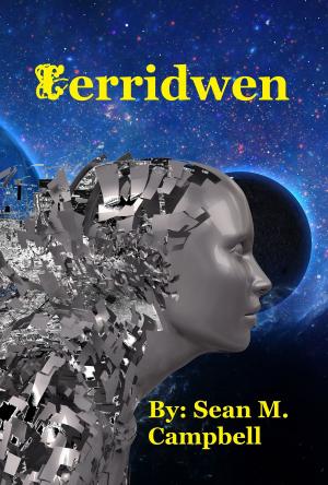 Book cover of Cerridwen
