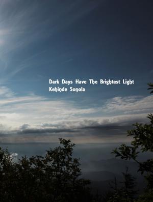 Book cover of Dark Days Have The Brightest Light