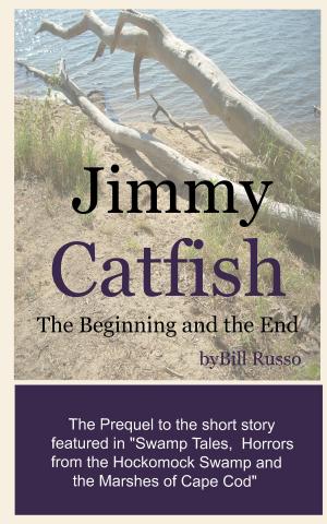 Cover of the book Jimmy Catfish: The Beginning and The End by Kat Cotton