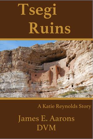 Book cover of Tsegi Ruins