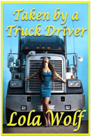 Cover of Taken by a Truck Driver