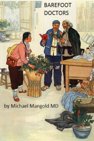 Cover of the book Barefoot Doctors 2 by Yogani