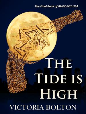 Book cover of The Tide is High (Rude Boy USA Series Volume 3)