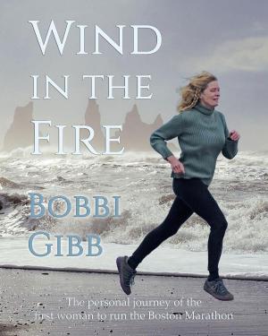 Book cover of Wind in the Fire