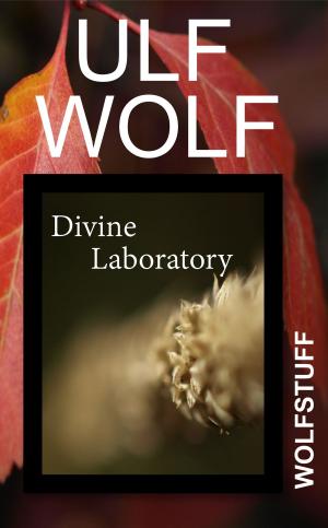 Cover of the book Divine Laboratory by Ulf Wolf